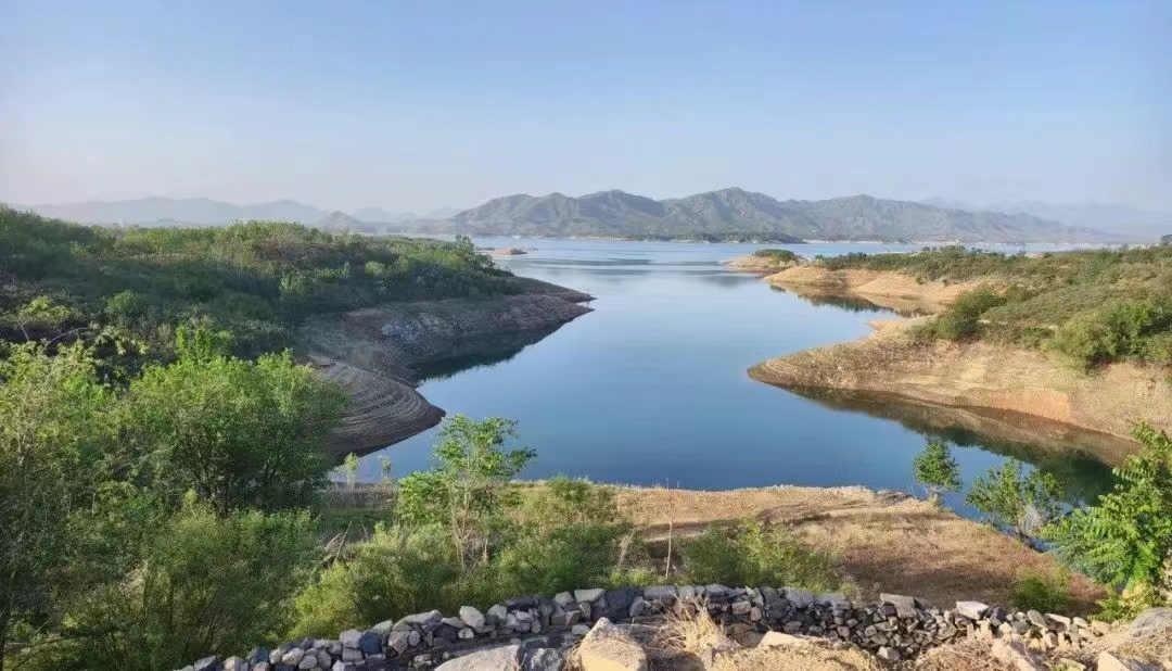 1747041557935706.jpg 1747041552978.jpg